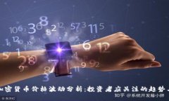 全球加密货币价格波动分析：投资者应关注的趋
