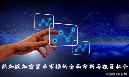 新加坡加密货币市场的全面分析与投资机会