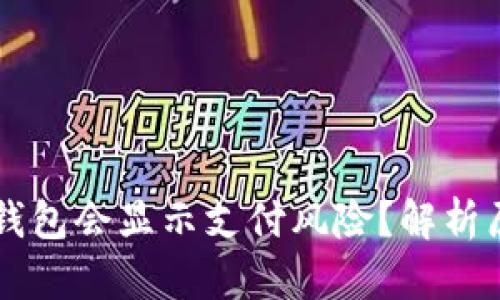 为什么下载TP钱包会显示支付风险？解析原因及解决方案