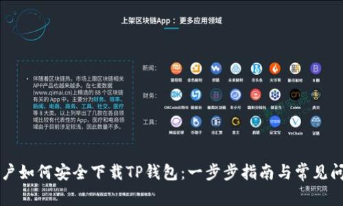 中国用户如何安全下载TP钱包：一步步指南与常见问题解答