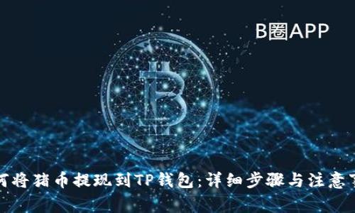 如何将猪币提现到TP钱包：详细步骤与注意事项