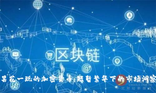 昙花一现的加密货币：短暂繁华下的市场洞察