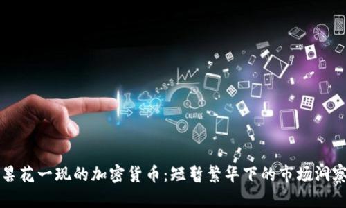 昙花一现的加密货币：短暂繁华下的市场洞察
