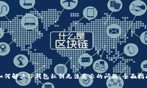 如何解决TP钱包私钥无法显示的问题：全面指南