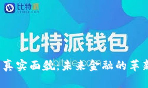 加密货币的真实面貌：未来金融的革新还是泡沫？