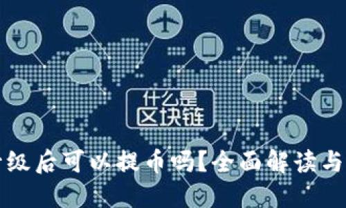 TP钱包升级后可以提币吗？全面解读与用户指南