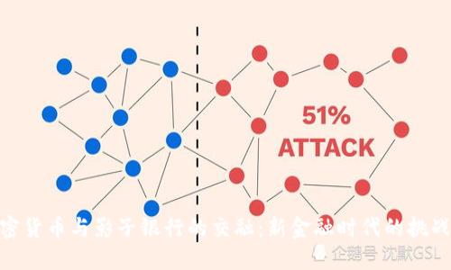 数字加密货币与影子银行的交融：新金融时代的挑战与机遇