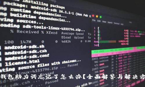 TP钱包助力词忘记了怎么办？全面解答与解决方案