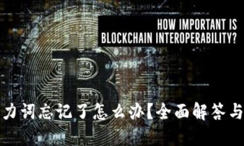 TP钱包助力词忘记了怎么办？全面解答与解决方案