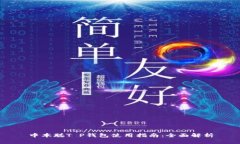 中本聪T P钱包使用指南：全面解析