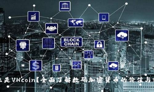 什么是VHcoin？全面了解数码加密货币的价值与前景