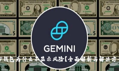 TP钱包为什么不显示风险？全面解析与解决方案