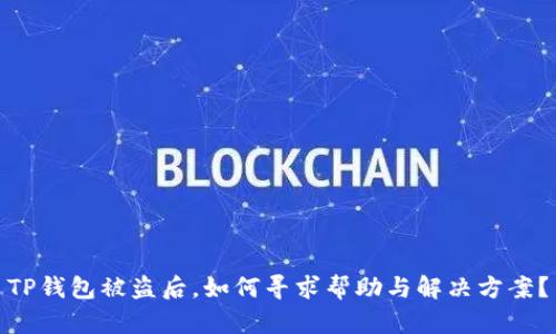 TP钱包被盗后，如何寻求帮助与解决方案？