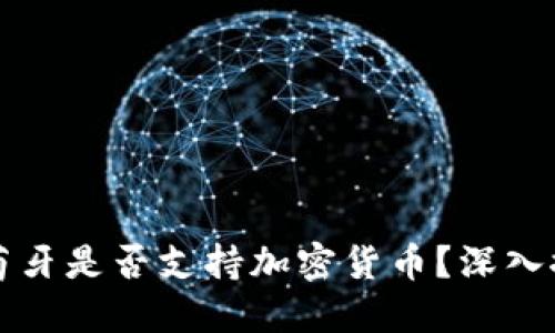 葡萄牙是否支持加密货币？深入探讨