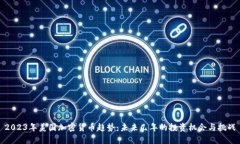 2023年美国加密货币趋势：未来几年的投资机会与