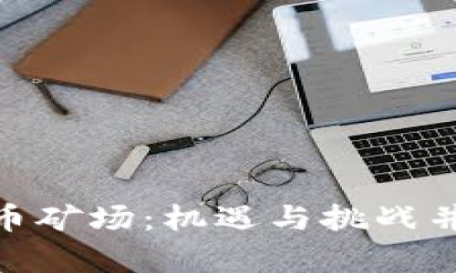 探索俄罗斯加密货币矿场：机遇与挑战并存的数字黄金之地