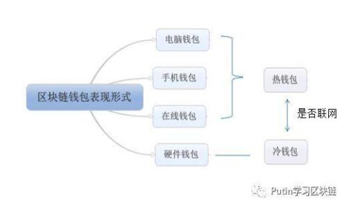 如何解决TP钱包中币消失的问题：完全指南