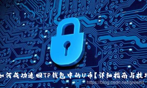 如何成功追回TP钱包中的U币？详细指南与技巧