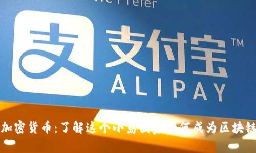 塞舌尔加密货币：了解这个小岛国家如何成为区块链的热土