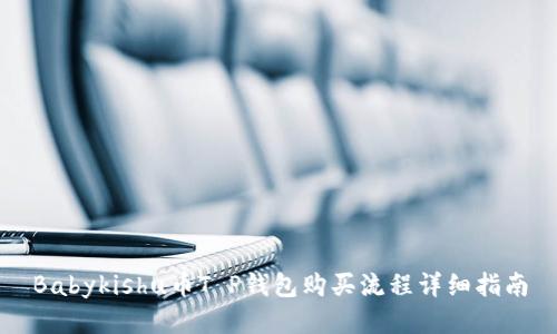 Babykishu币T P钱包购买流程详细指南