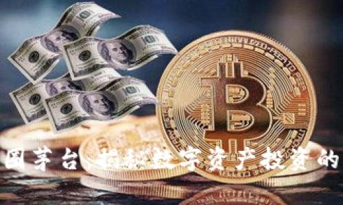 加密货币币圈茅台：揭秘数字资产投资的潜力与风险
