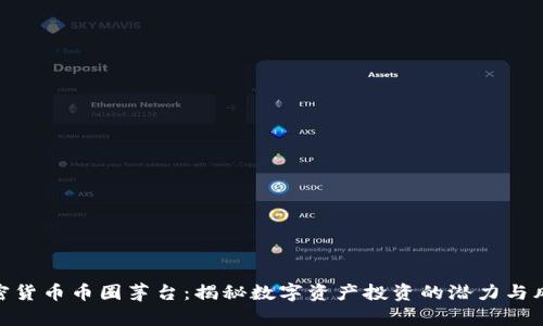 加密货币币圈茅台：揭秘数字资产投资的潜力与风险