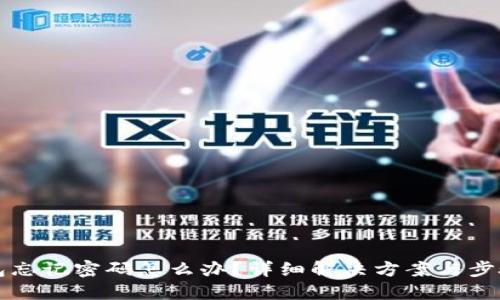 TP钱包忘记密码怎么办？详细解决方案与步骤指导