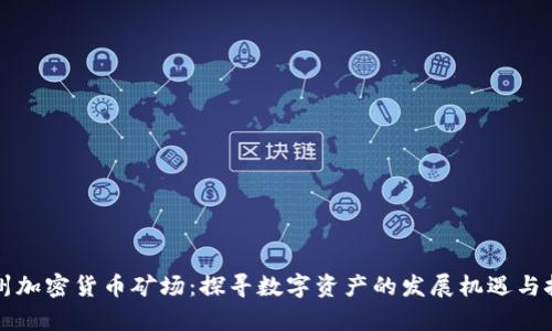 贵州加密货币矿场：探寻数字资产的发展机遇与挑战