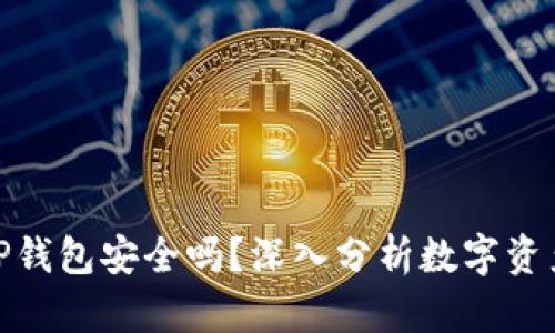 把币放在TP钱包安全吗？深入分析数字资产的安全性