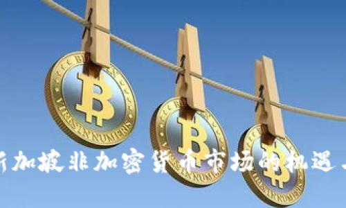 探索新加坡非加密货币市场的机遇与挑战