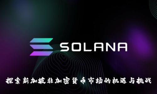 探索新加坡非加密货币市场的机遇与挑战