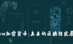 深入探讨Flow加密货币：未来的区块链发展与应用