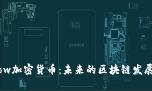 深入探讨Flow加密货币：未来的区块链发展与应用前景