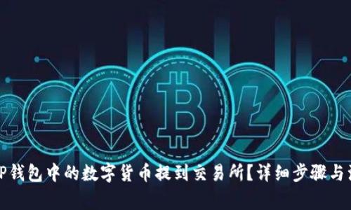 如何将TP钱包中的数字货币提到交易所？详细步骤与注意事项