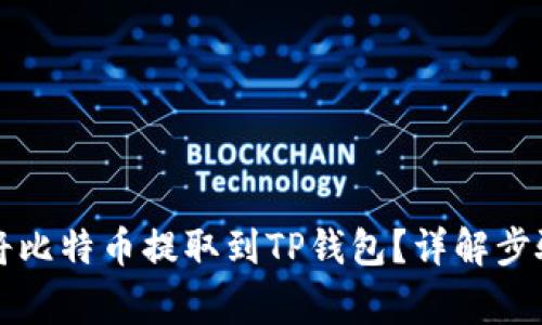中本聪如何将比特币提取到TP钱包？详解步骤与注意事项
