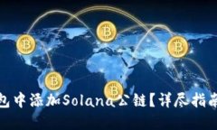 如何在TP钱包中添加Solana公链？详尽指南与操作步