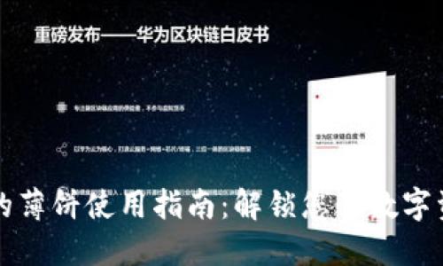 TP钱包里的薄饼使用指南：解锁您的数字资产新方式