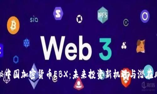 揭秘中国加密货币EBX：未来投资新机遇与潜在风险