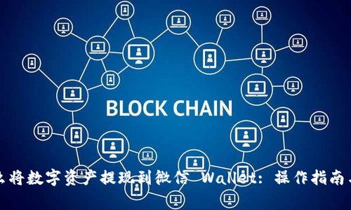 TP钱包怎么将数字资产提现到微信 Wallet: 操作指南与注意事项