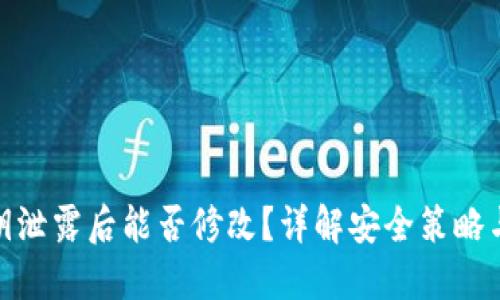 TP钱包私钥泄露后能否修改？详解安全策略与防护措施
