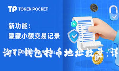 如何查询TP钱包持币地址数量：详细指南