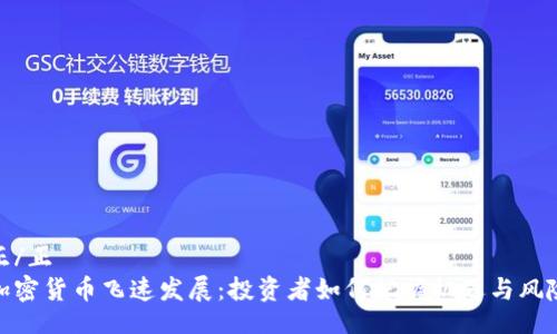 正/正
加密货币飞速发展：投资者如何把握机遇与风险