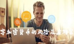 数字加密货币的风险及应对策略