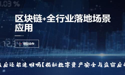 TP钱包被盗后还能追回吗？揭秘数字资产安全与盗窃后的应对措施