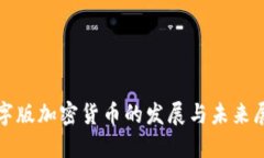 数字版加密货币的发展与未来展望
