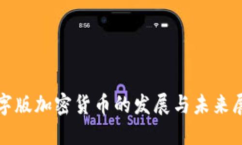 数字版加密货币的发展与未来展望