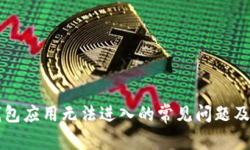 解决TP钱包应用无法进入的常见问题及解决方案