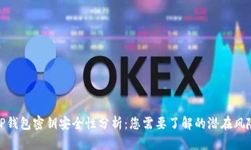 TP钱包密钥安全性分析：您需要了解的潜在风险