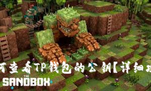 如何查看TP钱包的公钥？详细攻略