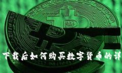 TP钱包下载后如何购买数字货币的详细指南